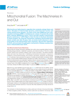 Mitochondrial Fusion: the Machineries in and Out