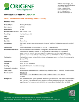 TMED1 Mouse Monoclonal Antibody [Clone ID: OTI7D2] Product Data