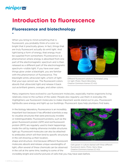 Introduction to Fluorescence