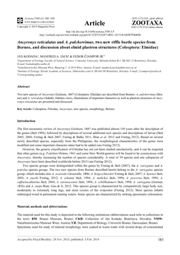 Ancyronyx Reticulatus and A. Pulcherrimus, Two New Riffle Beetle Species from Borneo, and Discussion About Elmid Plastron Structures (Coleoptera: Elmidae)