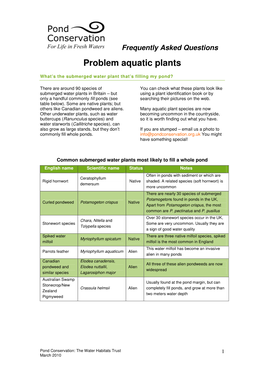 Problem Aquatic Plants