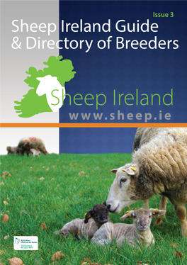 Sheep Ireland Guide & Directory of Breeders