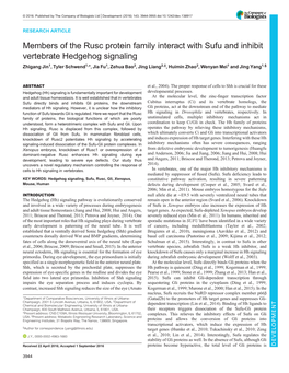 Members of the Rusc Protein Family Interact with Sufu and Inhibit