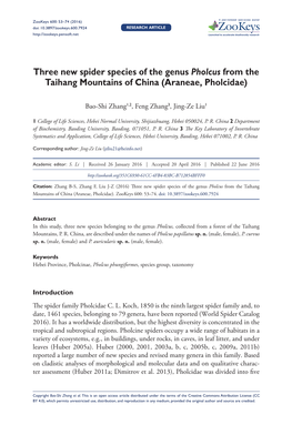 ﻿Three New Spider Species of the Genus Pholcus from the Taihang