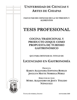 Tesis Profesional