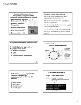 Schueller NRE 509 1 What Is an Ecosystem?