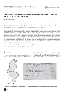 Arsinoitherium (Embrithopoda) and Other Large Mammals and Plants from the Oligocene of Tunisia