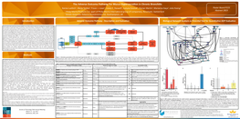 SOT 2017 P225 AOP Poster Luettich Et Al Final