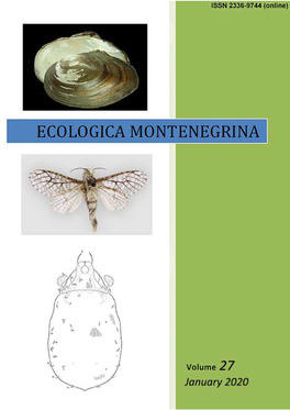 The Burmese Trout Raiamas Guttatus (Day, 1870) (Cypriniformes: Cyprinidae) in South Sumatra Revealed Its Southernmost Record of Its Distributional Range