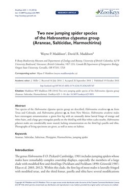 Two New Jumping Spider Species of the Habronattus Clypeatus Group (Araneae, Salticidae, Harmochirina)