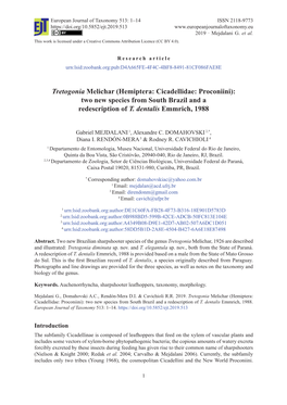 Hemiptera: Cicadellidae: Proconiini): Two New Species from South Brazil and a Redescription of T