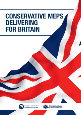 Conservative Meps Delivering for Britain