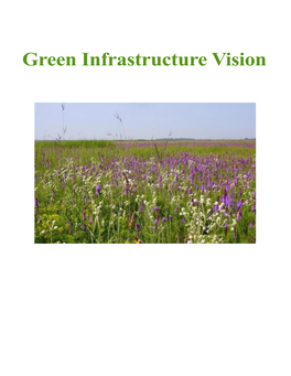 Green Infrastructure Vision