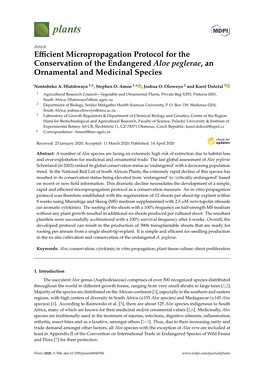 Efficient Micropropagation Protocol for the Conservation of the Endangered Aloe Peglerae, an Ornamental and Medicinal Species