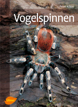 Vogelspinnen