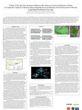 A Comparative Analysis of Quercus