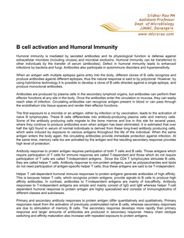 B Cell Activation and Humoral Immunity