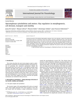 Apicomplexan Cytoskeleton and Motors: Key Regulators in Morphogenesis, Cell Division, Transport and Motility