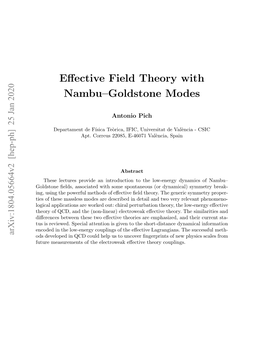 Effective Field Theory with Nambu–Goldstone Modes