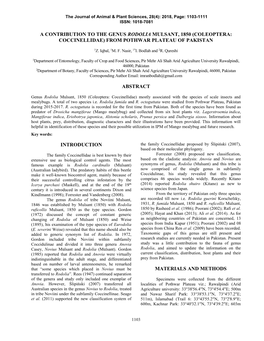 A Contribution to the Genus Rodolia Mulsant, 1850 (Coleoptera: Coccinellidae) from Pothwar Plateau of Pakistan