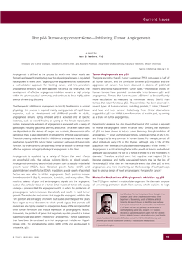 The P53 Tumor-Suppressor Gene—Inhibiting Tumor Angiogenesis