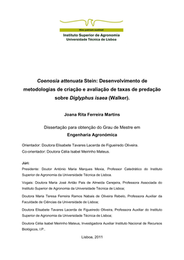 Coenosia Attenuata Stein: Desenvolvimento De Metodologias De Criação E Avaliação De Taxas De Predação Sobre Diglyphus Isaea (Walker)