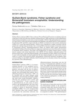 Guillain-Barré Syndrome, Fisher Syndrome and Bickerstaff Brainstem Encephalitis: Understanding the Pathogenesis