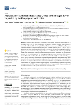 Prevalence of Antibiotic Resistance Genes in the Saigon River Impacted by Anthropogenic Activities