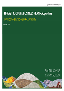 INFRASTRUCTURE BUSINESS PLAN - Appendices SOUTH DOWNS NATIONAL PARK AUTHORITY