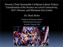 Dr. Mark Butler