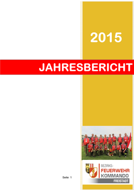 Jahresbericht 2015.Pdf