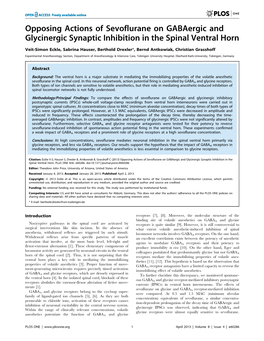 Opposing Actions of Sevoflurane on Gabaergic and Glycinergic Synaptic Inhibition in the Spinal Ventral Horn