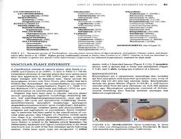 81 Vascular Plant Diversity