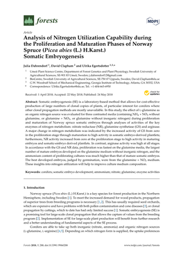 Analysis of Nitrogen Utilization Capability During the Proliferation and Maturation Phases of Norway Spruce (Picea Abies (L.) H.Karst.) Somatic Embryogenesis