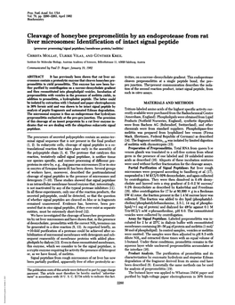 Cleavage of Honeybee Prepromelittin by an Endoprotease from Rat Liver Microsomes: Identification of Intact Signal Peptide