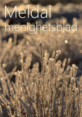 Menighetsblad 6 - 2016 65.Årgang 2 Meldal Menighetsblad Dette Skjer I Menighetene Våre