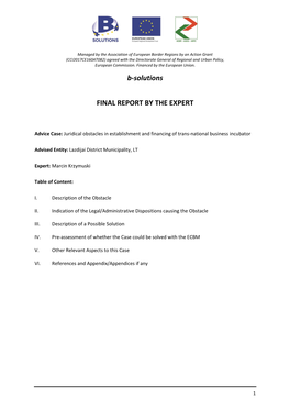 B-Solutions FINAL REPORT by the EXPERT