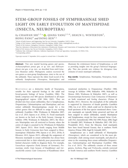 Stem‐Group Fossils of Symphrasinae Shed Light on Early