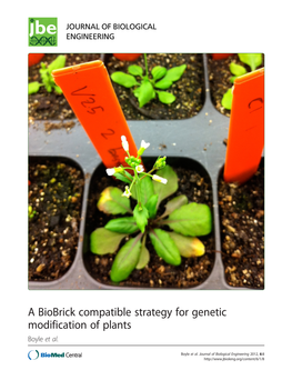 A Biobrick Compatible Strategy for Genetic Modification of Plants Boyle Et Al