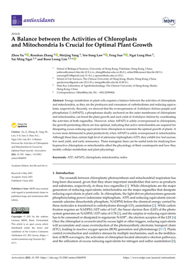 A Balance Between the Activities of Chloroplasts and Mitochondria Is Crucial for Optimal Plant Growth