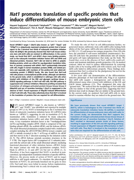 Nat1 Promotes Translation of Specific Proteins That Induce Differentiation of Mouse Embryonic Stem Cells