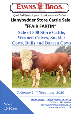 Sale of 500 Store Cattle, Weaned Calves, Suckler Cows, Bulls and Barren Cows