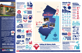 NSV NJ Infographic Sheet