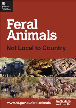 Feral Animals: Not Local to Country