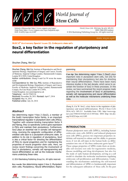 Sox2, a Key Factor in the Regulation of Pluripotency and Neural Differentiation