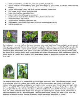 • 5 Plants- Skunk Cabbage, Sassafras Tree, Cross Vine, Royal Fern, Trumpet