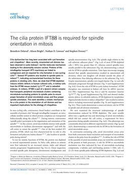 The Cilia Protein IFT88 Is Required for Spindle Orientation in Mitosis