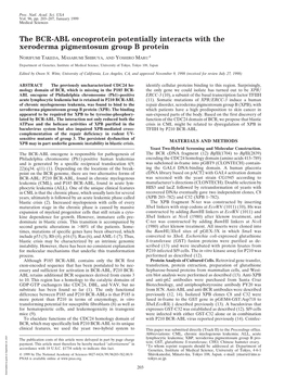 The BCR-ABL Oncoprotein Potentially Interacts with the Xeroderma Pigmentosum Group B Protein