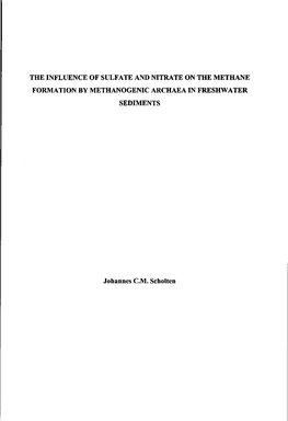 THE INFLUENCE of SULFATE and NITRATE on the METHANE FORMATION by METHANOGENIC ARCHAEA in FRESHWATER SEDIMENTS Johannes CM. Schol