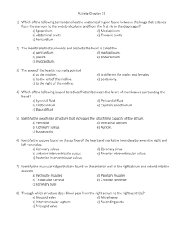 Chapter 20: Cardiovascular System: the Heart